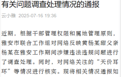 四川网上热议热议黄杨某甜天价耳环事件调查结果缩略图