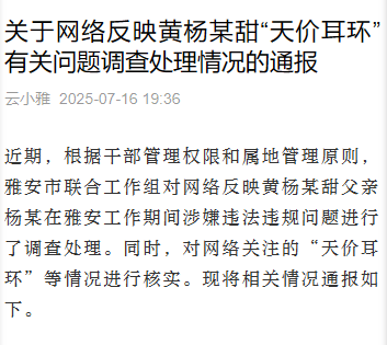 四川网上热议热议黄杨某甜天价耳环事件调查结果插图