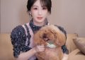 杨抱着P势舞，网友Piu跳手势舞，网友直呼被萌翻缩略图