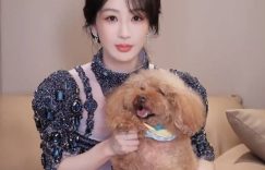 杨抱着P势舞，网友Piu跳手势舞，网友直呼被萌翻缩略图