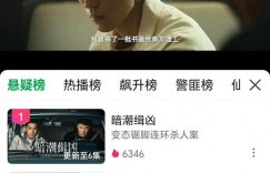 《暗潮缉凶》全集百度云网盘资源下载在线观看高清电视剧阿里云盘免费下载缩略图