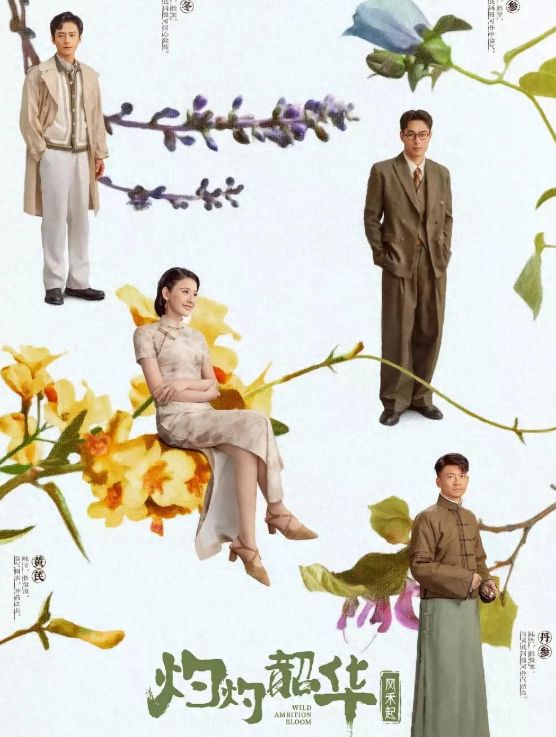 《灼灼韶华》全集在线观看完整阿里云盘版西瓜视频（更新）【1080p高清版】插图