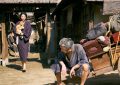 《喂！应为》国语在线免费观看【1080p高清】百度云网盘资源下载资源下载链接下载缩略图