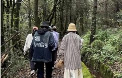 张若昀唐艺昕云南采菌记：冻龄夫妻的烟火气日常缩略图