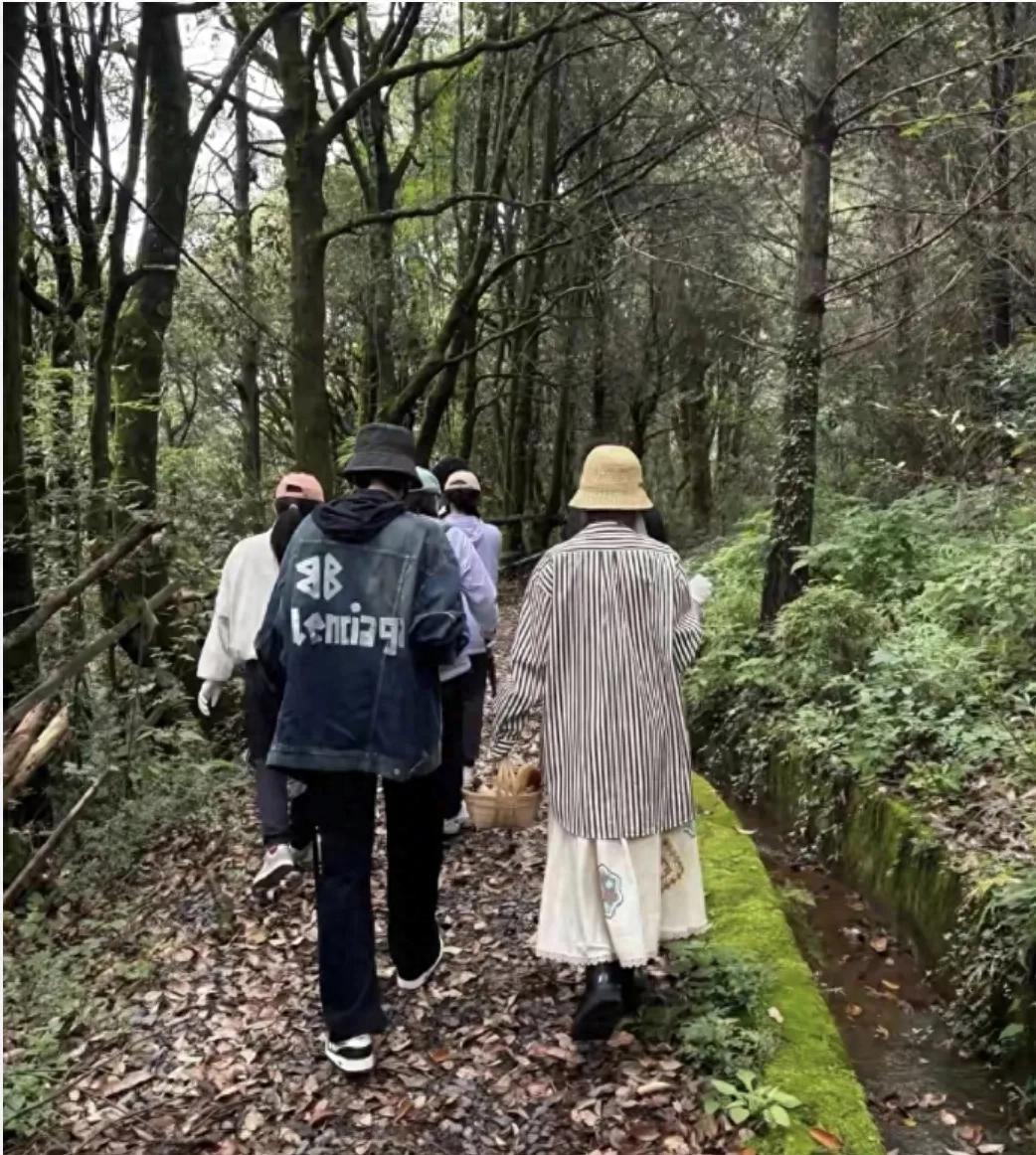 张若昀唐艺昕云南采菌记：冻龄夫妻的烟火气日常插图