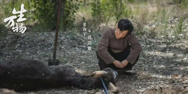 《生万物》迅雷BT资源下载种子下载[Mp4][hd1080p]百度网盘插图2