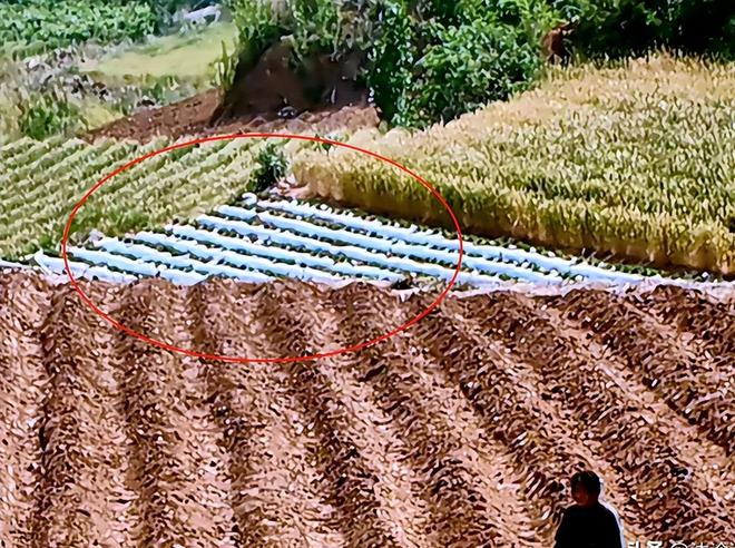 《生万物》全集迅雷BT资源下载[MP4]高清[bd1080pmkv]插图2