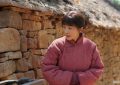 《万物生》全集百度云【超高清1280P】迅雷网盘资源下载缩略图