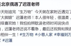 超市偶遇大脚娘迟蓬：66岁戏骨素颜逛超市，温柔如剧中母亲缩略图