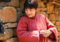 《生万物》全集迅雷磁力链接下载[MKV][HD1080P]百度云网盘资源缩略图