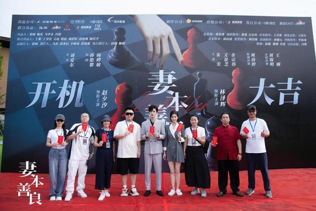 《妻本善良》全集百度云网盘资源下载[1080p高清版资源下载]在线观看地址插图