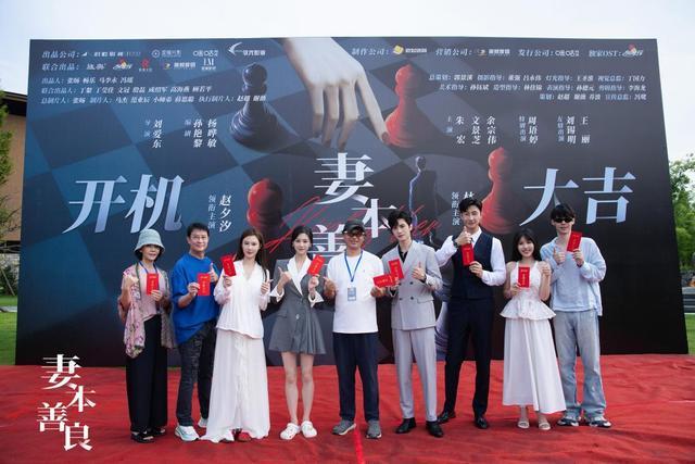 《妻本善良》全集百度云网盘资源下载[1080p高清版资源下载]在线观看地址插图1