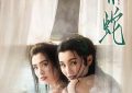 《青蛇》观后感：红尘里的热闹，原来都是一场空！缩略图