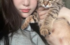 张馨予晒家里两猫一狗，何捷穿大裤衩出镜，给小猫咪梳毛超有爱缩略图