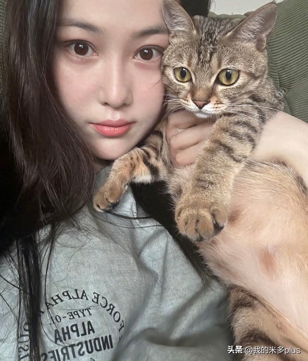 张馨予晒家里两猫一狗，何捷穿大裤衩出镜，给小猫咪梳毛超有爱插图