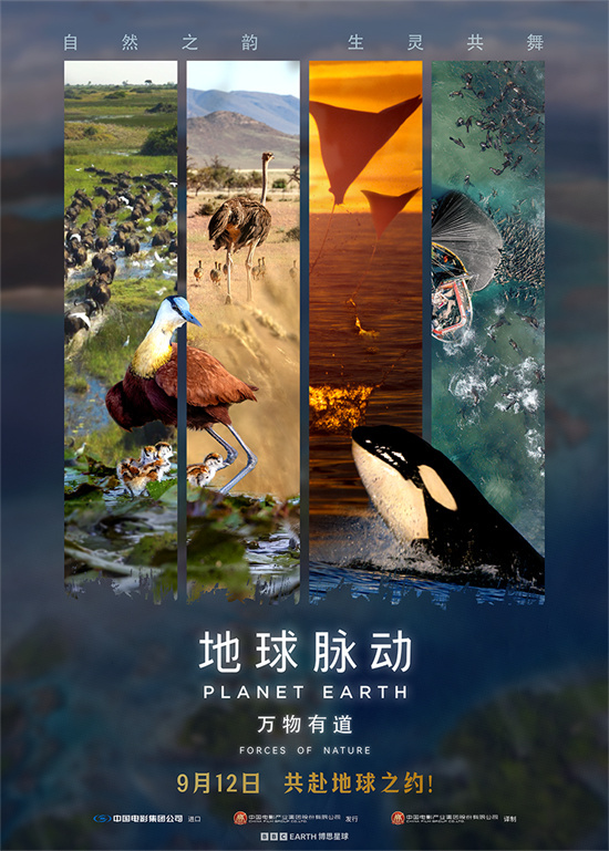 《地球脉动：万物有道》百度云网盘资源泄露迅雷种子下载插图