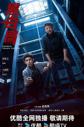 《黑白局》剧评：夜黑得像锅底，警徽虽暗却撕开黑幕！插图