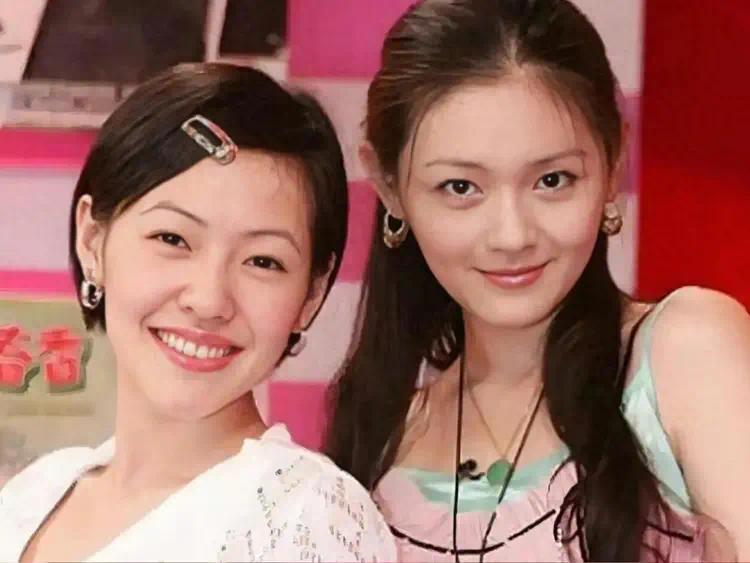 小S刚宣布复出一天，就被人骂蹭姐姐热度？插图