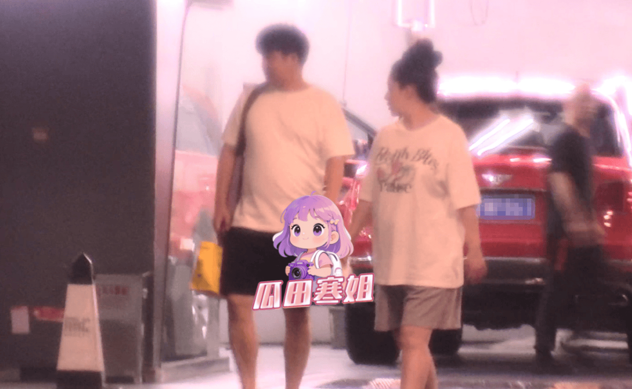 阚清子挺着孕肚和老公逛街，老公全程拎包超贴心插图