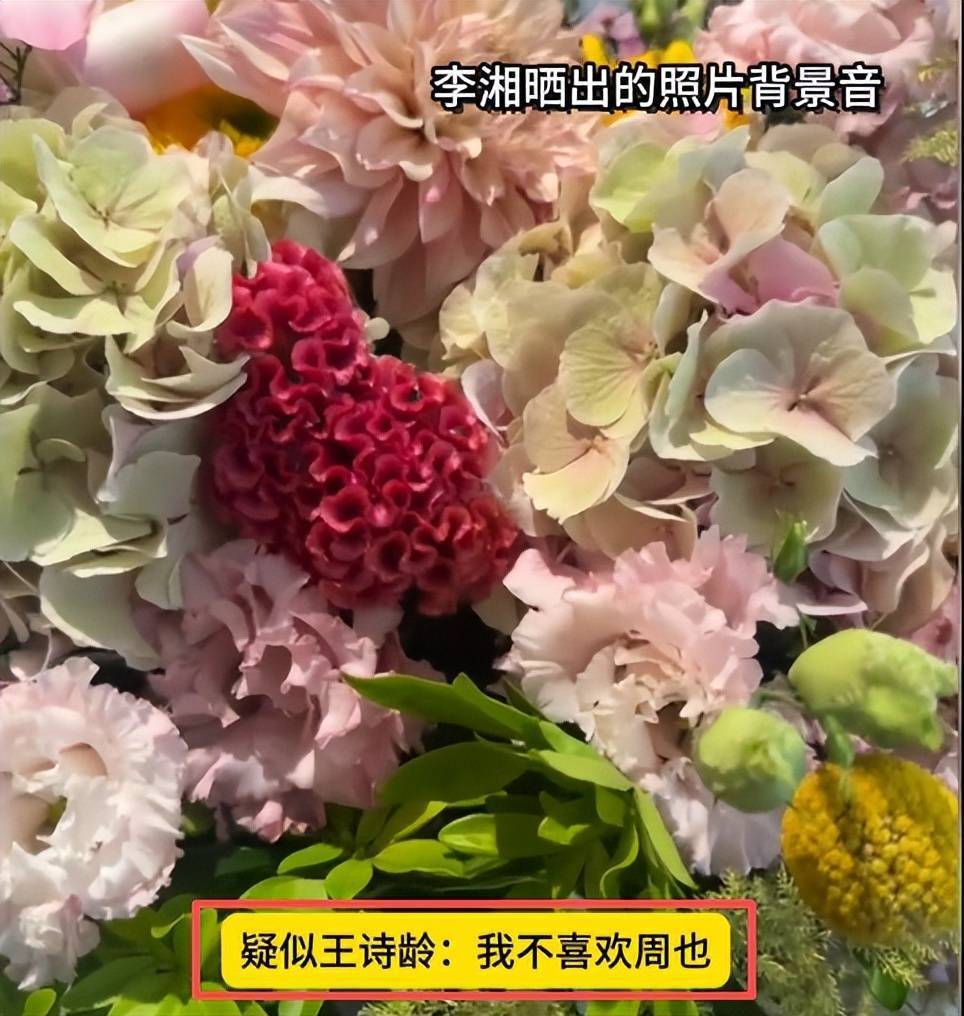 太尴尬了！李湘晒照不小心拉踩周也，发现后赶紧删图插图1