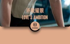 《许我耀眼》百度云网盘迅雷下载【BD720P/泄露-MKV】高清在线看缩略图