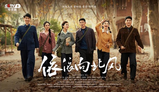 《沉默的荣耀》全集百度云网盘【1080P】迅雷资源下载插图