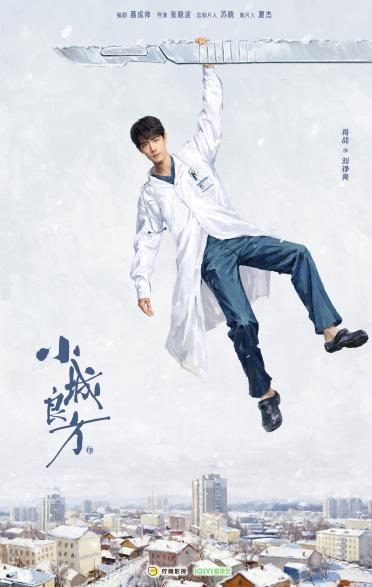 《小城良方》百度云[1080p高清电影中字]百度网盘下载插图