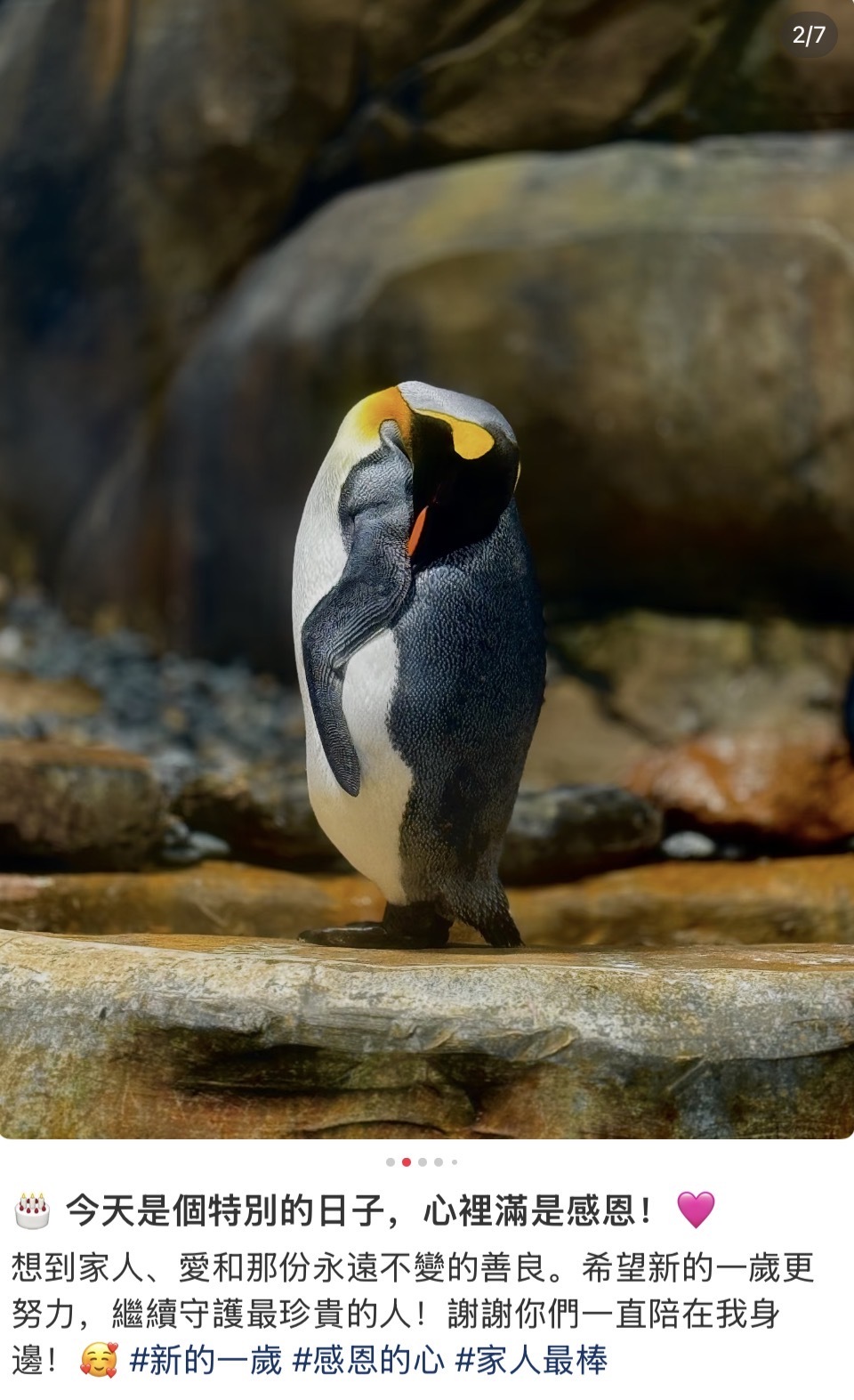 23岁生日！刘銮雄女儿和吕丽君出门嗨，说家人最棒，老爸却没来插图1