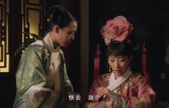 《甄嬛传》全集百度云网盘资源下载[4K高清超清版1080pHD]在线观看缩略图