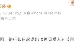 邓莎发话了：路行退出《再见爱人5》缩略图