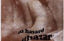 大银幕再刷《驴子巴特萨》，这次我想这么评缩略图