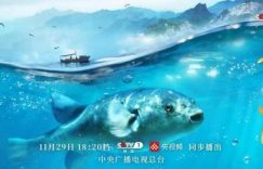 《寻味山海》百度网盘[HDMP4][1080P]高清片源观看下载缩略图