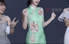 虞书欣要办生日会，最贵票1588元惹争议缩略图