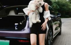 刘亦菲素颜蹲酒店门口哄狗，抱宠物上车的样子太真实了！缩略图