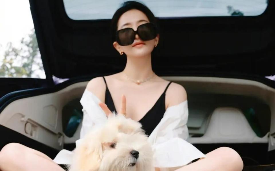 刘亦菲素颜蹲酒店门口哄狗，抱宠物上车的样子太真实了！插图1