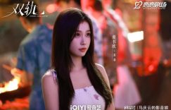 《双轨》迅雷BT资源下载[mkv]HD高清[HD1080P720p]百度云网盘缩略图