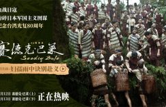 《赛德克·巴莱》百度网盘[HDMP4][1080P]高清片源观看下载缩略图