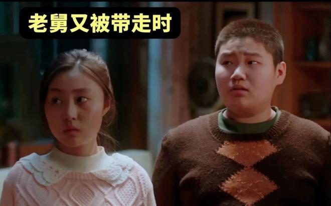 《老舅》全集百度云阿里云盘资源【完整版】百度网盘下载链接插图2