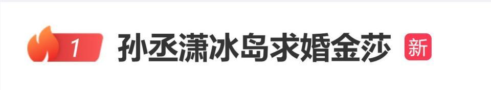 42岁金莎被小17岁男友孙丞潇在冰岛求婚，单膝跪地抱在一起超甜！插图