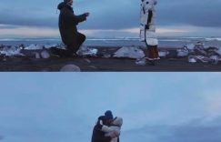 《野草疯长》百度云资源下载[BD720p][迅雷网盘链接mp4]缩略图