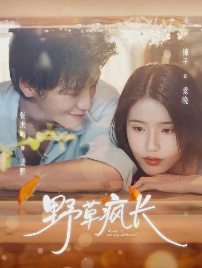 《野草疯长》百度云资源下载[BD720p][迅雷网盘链接mp4]插图1